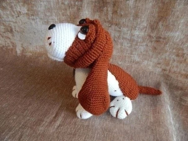 Собака Бруно 🐶