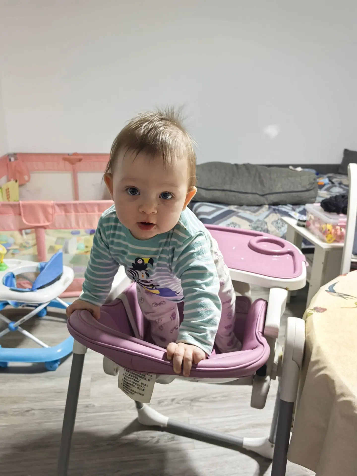 Теперь я поняла, для чего ремни на стульчике для кормления 🤣