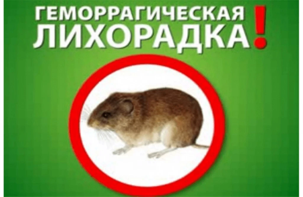https://vk.ru/wall-195560078_11900