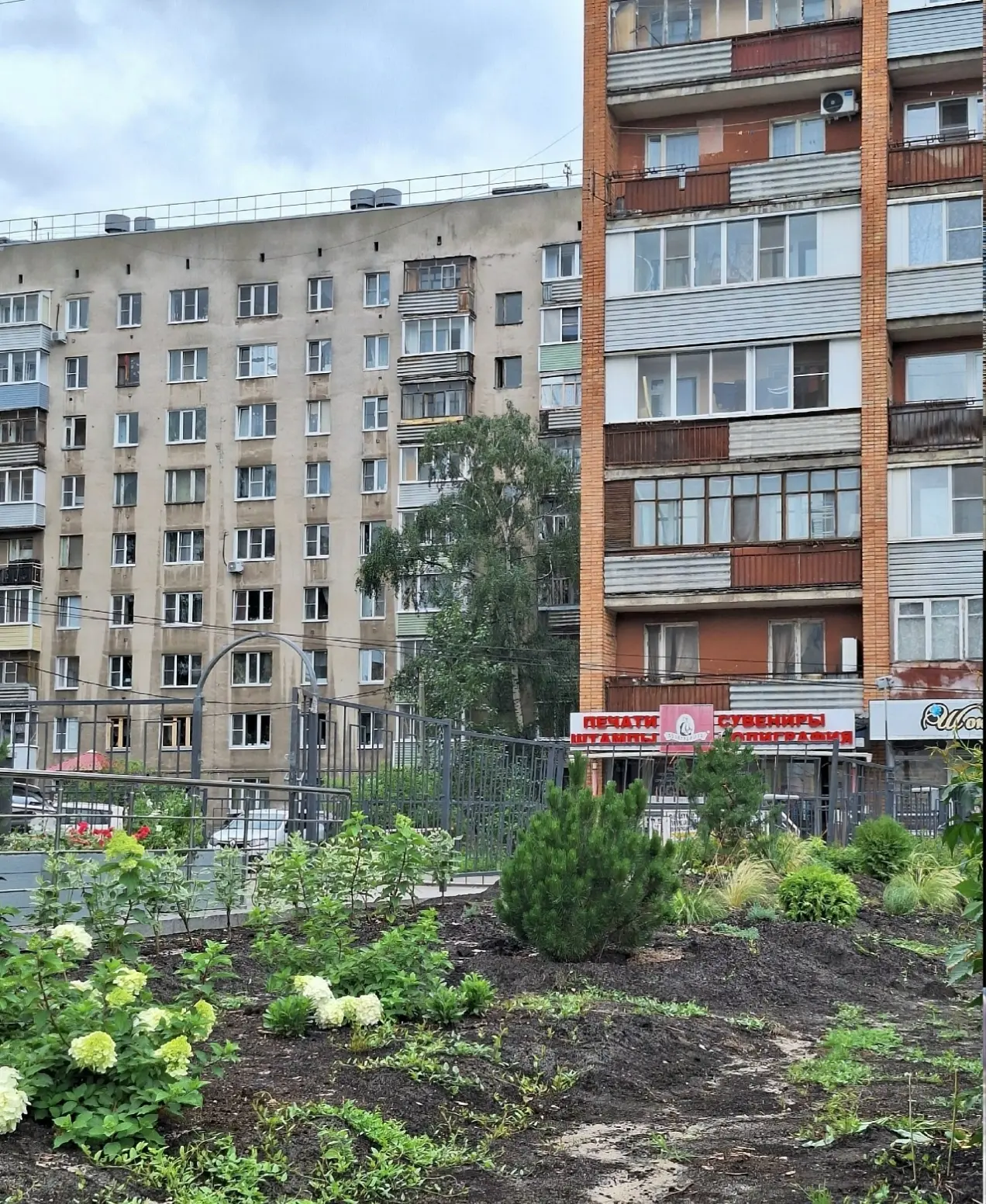 На улице Ленина в Рязани создают новый сквер