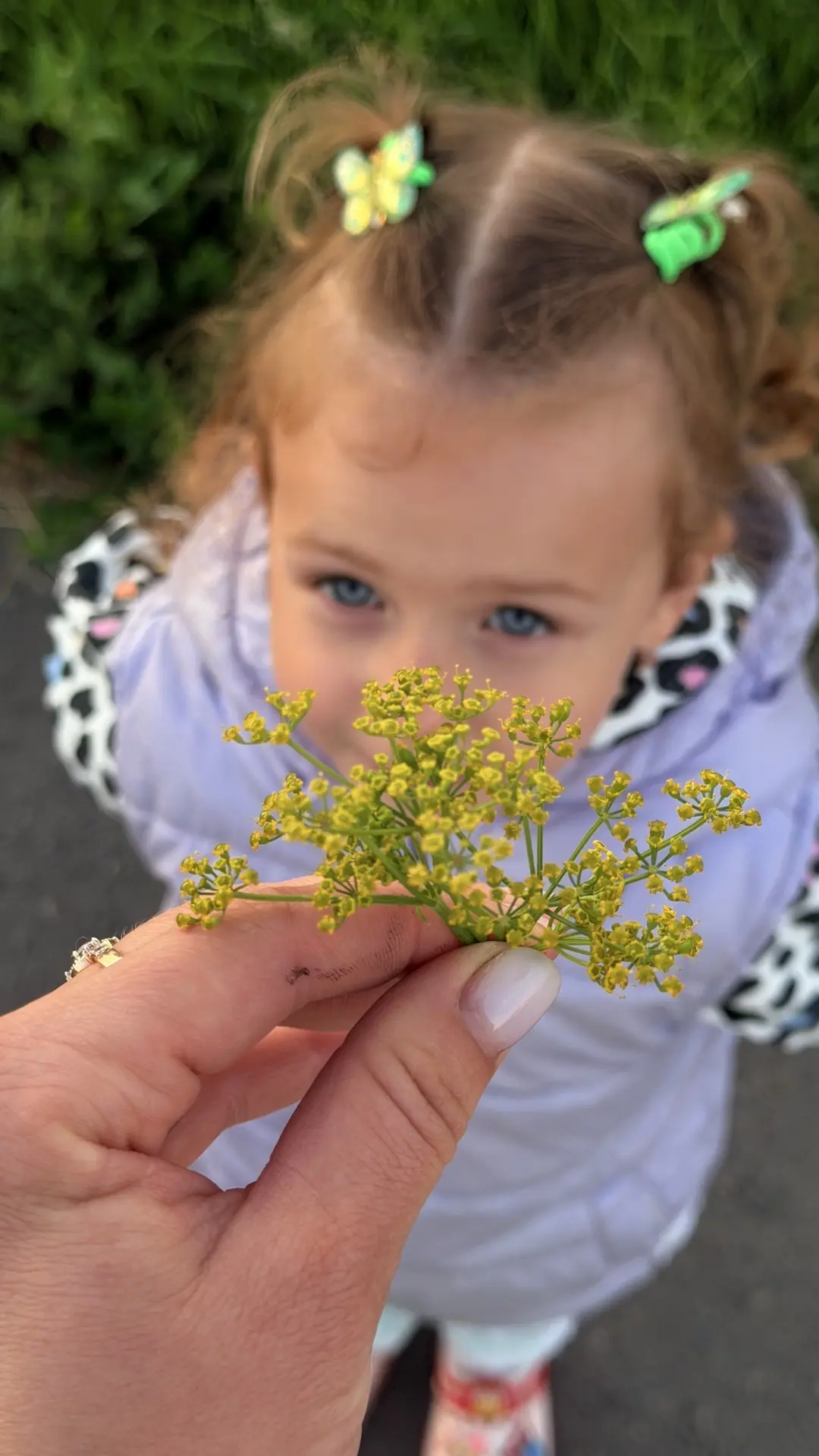 💛 Недавно разговаривала с подружкой, которая родила малыша. 

Так получилось, что когда у нас появи
