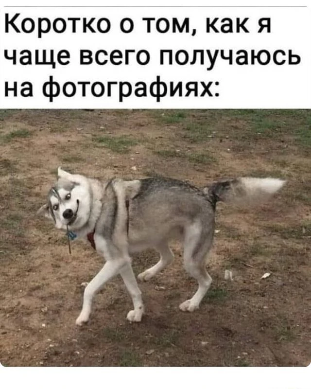 КУКУРУЗА 🌽