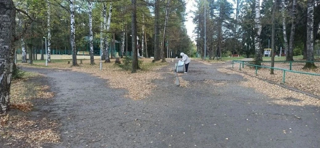 В этом году парк в Нововятске приведут в порядок