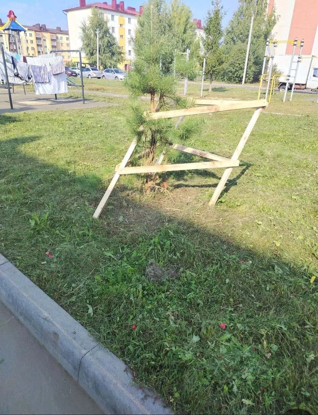 Жители,проживающие по адресу:улПолющенкова,д.14, неоднократно ( с мая м-ца 2026г)обраща...