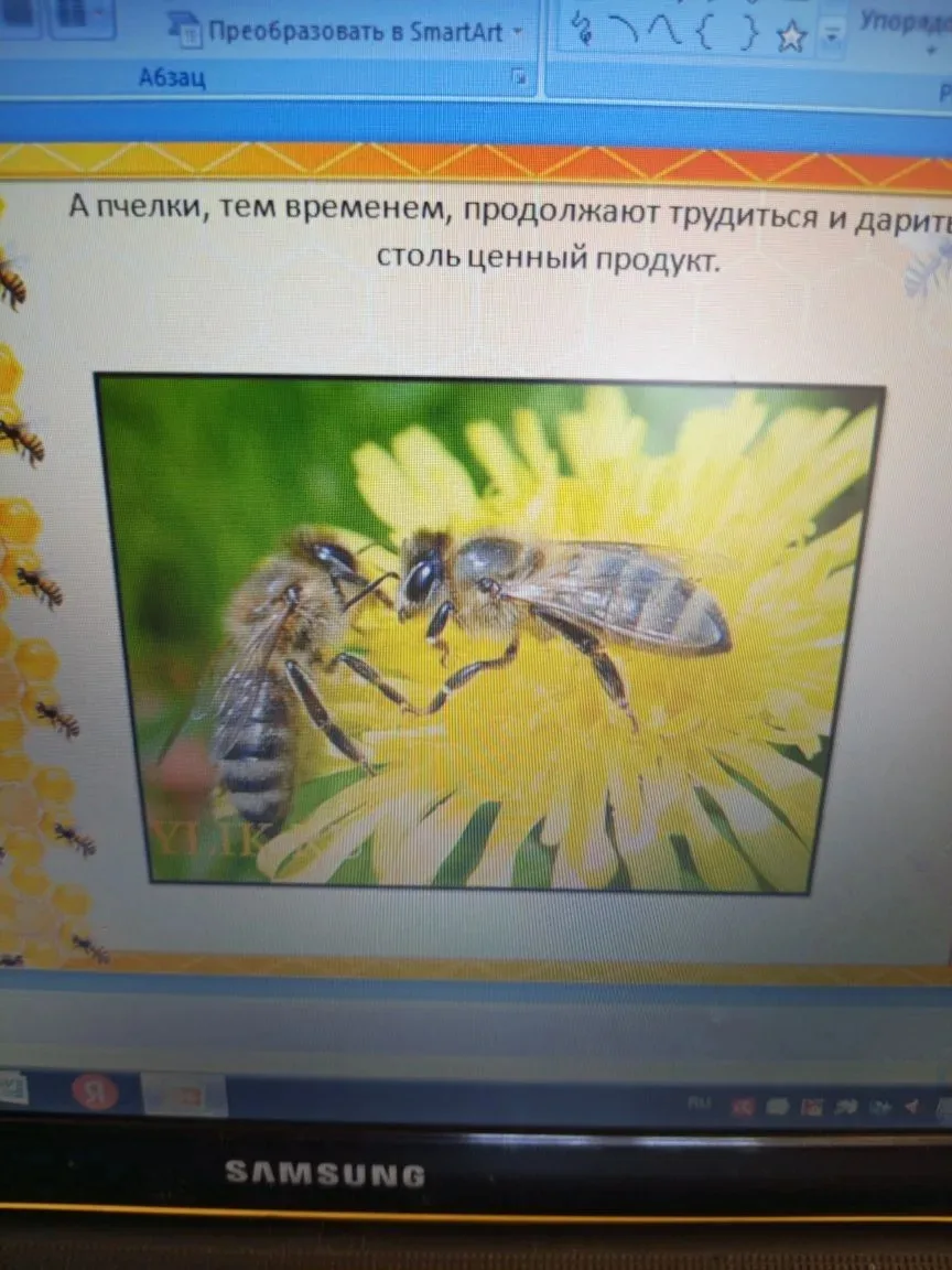 В рамках проекта «Торио» дети познакомились с профессией пчеловода через увлекательные занятия и игр