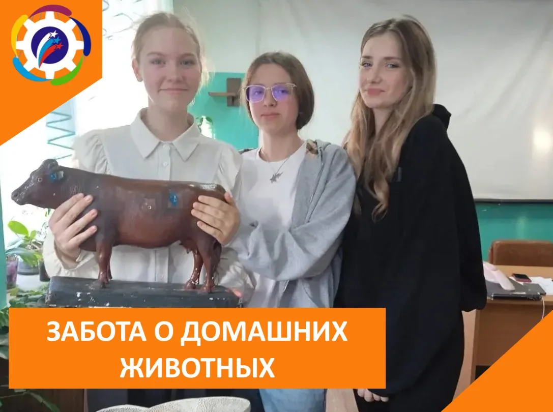 🐮 ЗАБОТА О ДОМАШНИХ ЖИВОТНЫХ   🐈 Выпускницы Колледжа народного хозяйства познакомили наших юных вете
