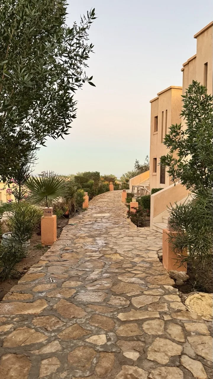 🏨 Отель с итальянским привкусом в Шарме 🇪🇬