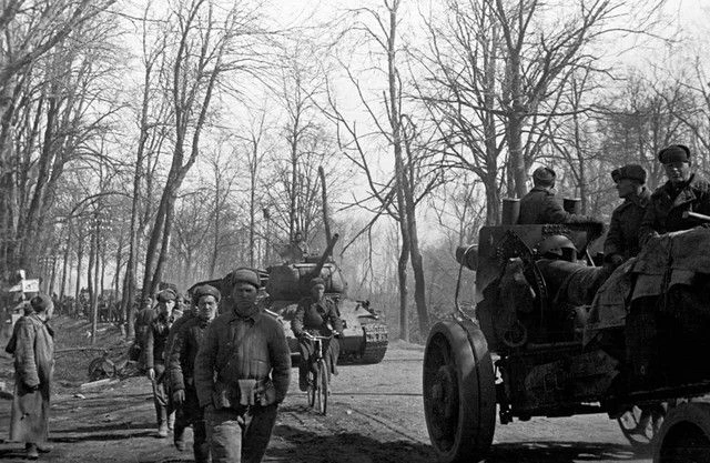 В 2026 году Калининградская область отмечает 80-летний юбилей со дня своего образования...