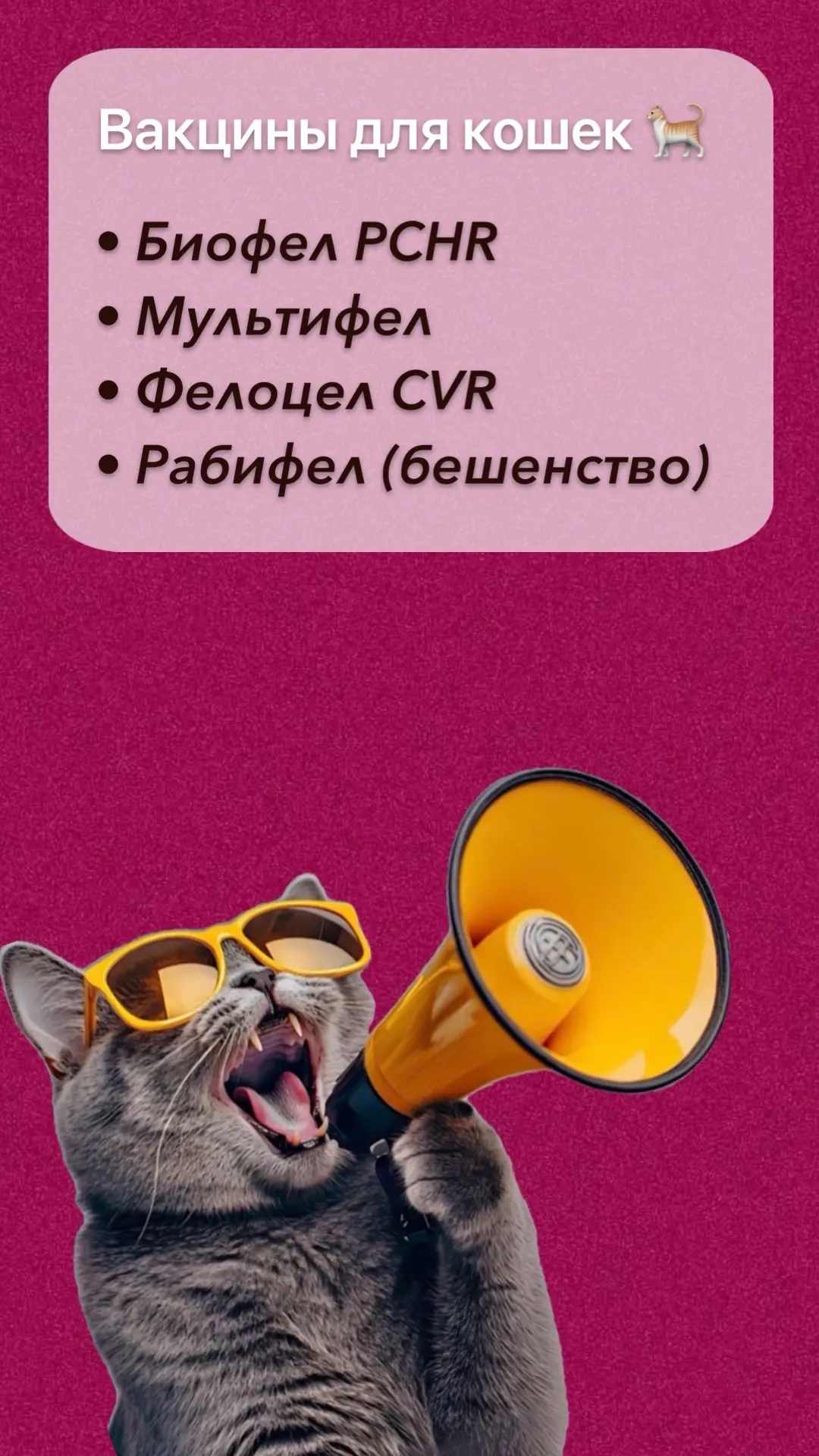 🐾 Вакцины для собак и кошек в наличии