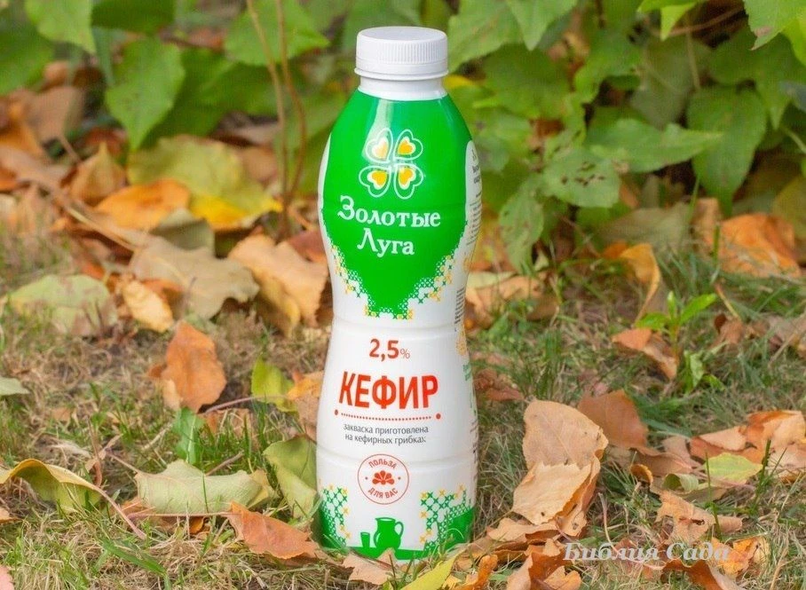КЕФИР И СЫВОРОТКА В ОГОРОДЕ  Кефир и кисломолочные продукты применяются для профилактики и борьбы с 