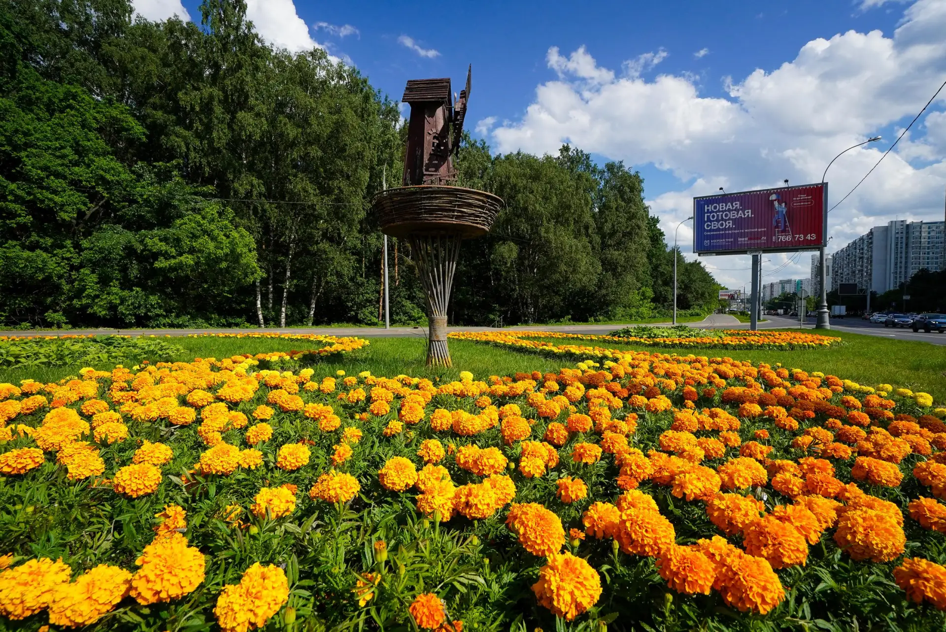 🌼 Желтого настроения вам, дорогие соседи 😉