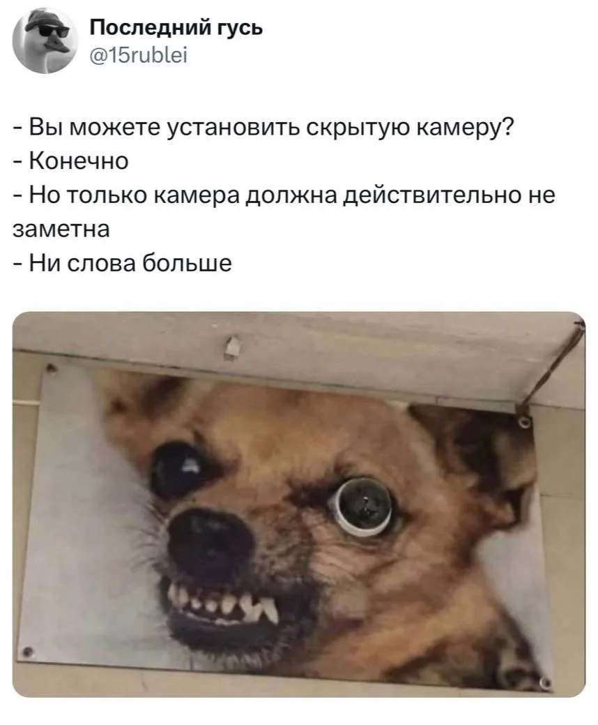 Доброе утро, дорогие мои!