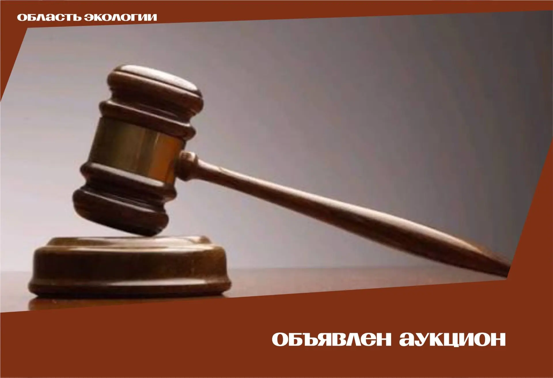🌿 Департаментом природных ресурсов и охраны окружающей среды Томской области объявлен электронный а