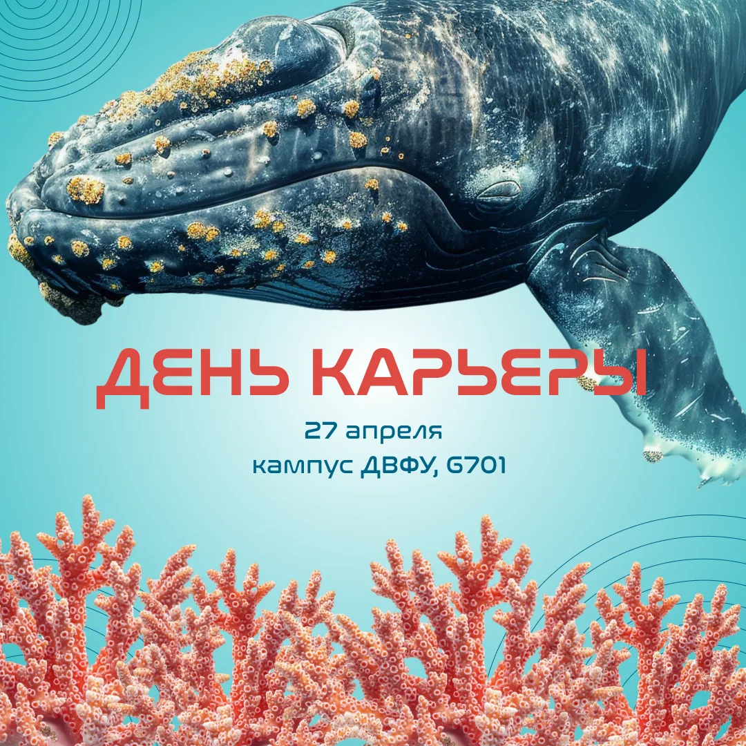 🌊 Приглашаем студентов и выпускников на «День карьеры Института Мирового океана (Школы...