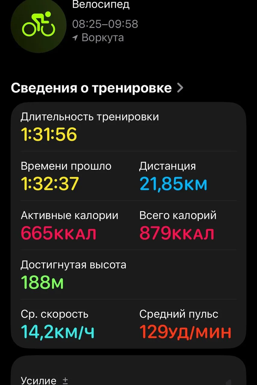 Дурная голова жо#е спокойствие не дает.
