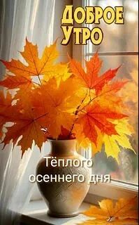 Доброе утро друзья!