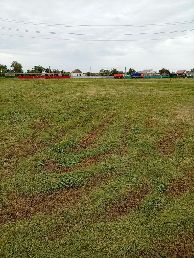 Продолжаем борьбу с сорной растительностью