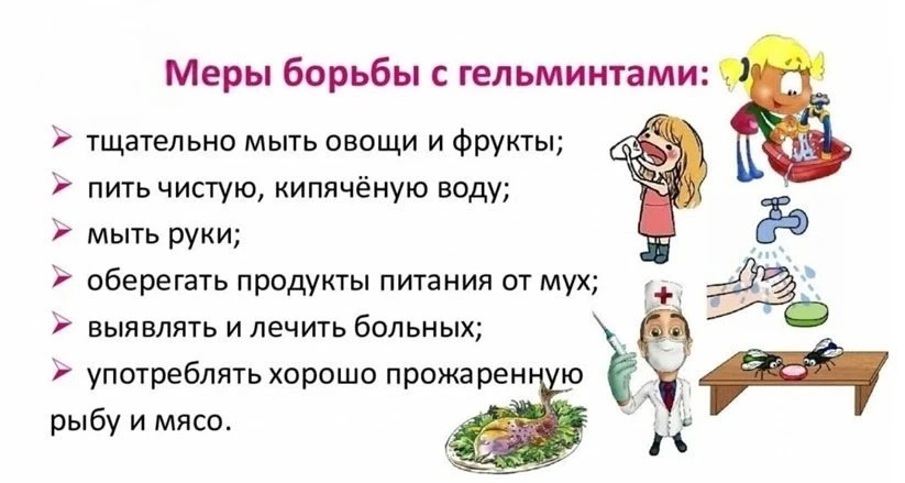 Гельминтозы — группа заболеваний, вызываемых паразитическими червями-гельминтами.