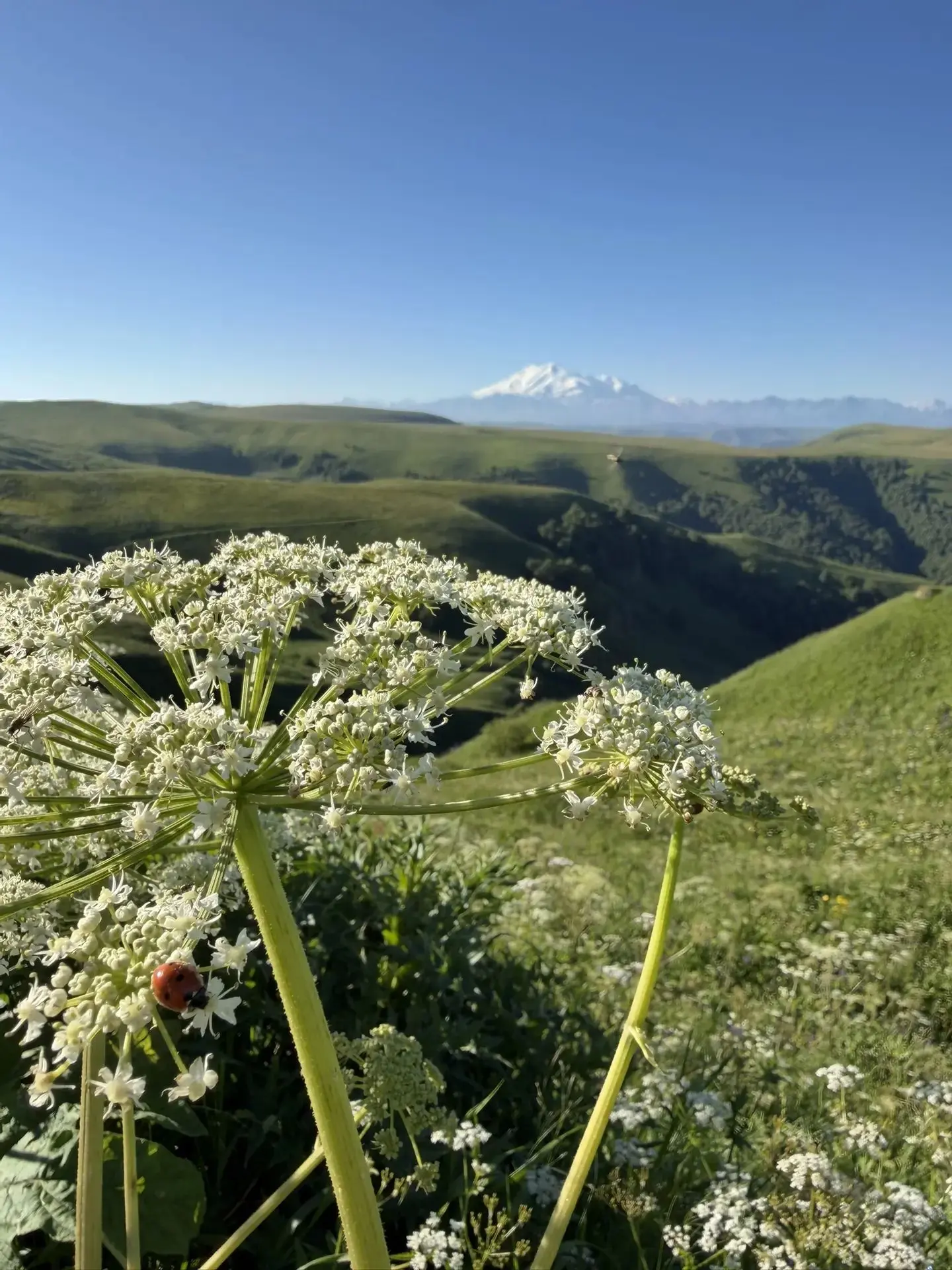 🌞​Июль - это когда дни длинные, ночи тёплые, а студенческая жизнь наконец-то обретает идеальный тем