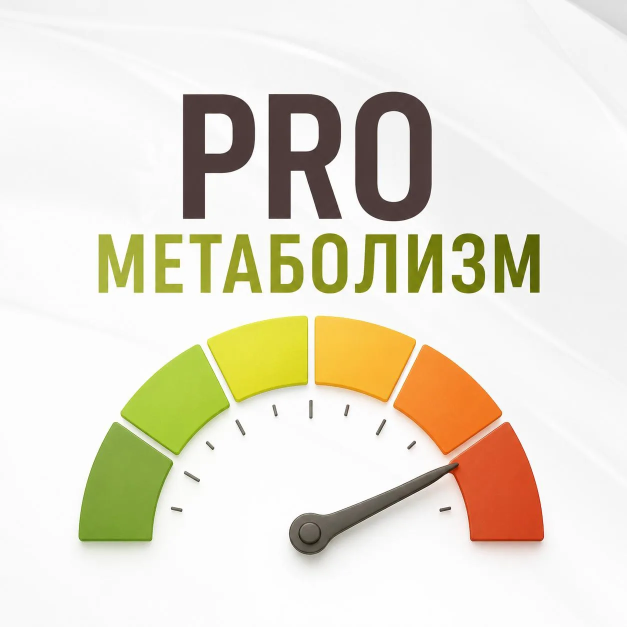 PRO МЕТАБОЛИЗМ (или обмен веществ)
