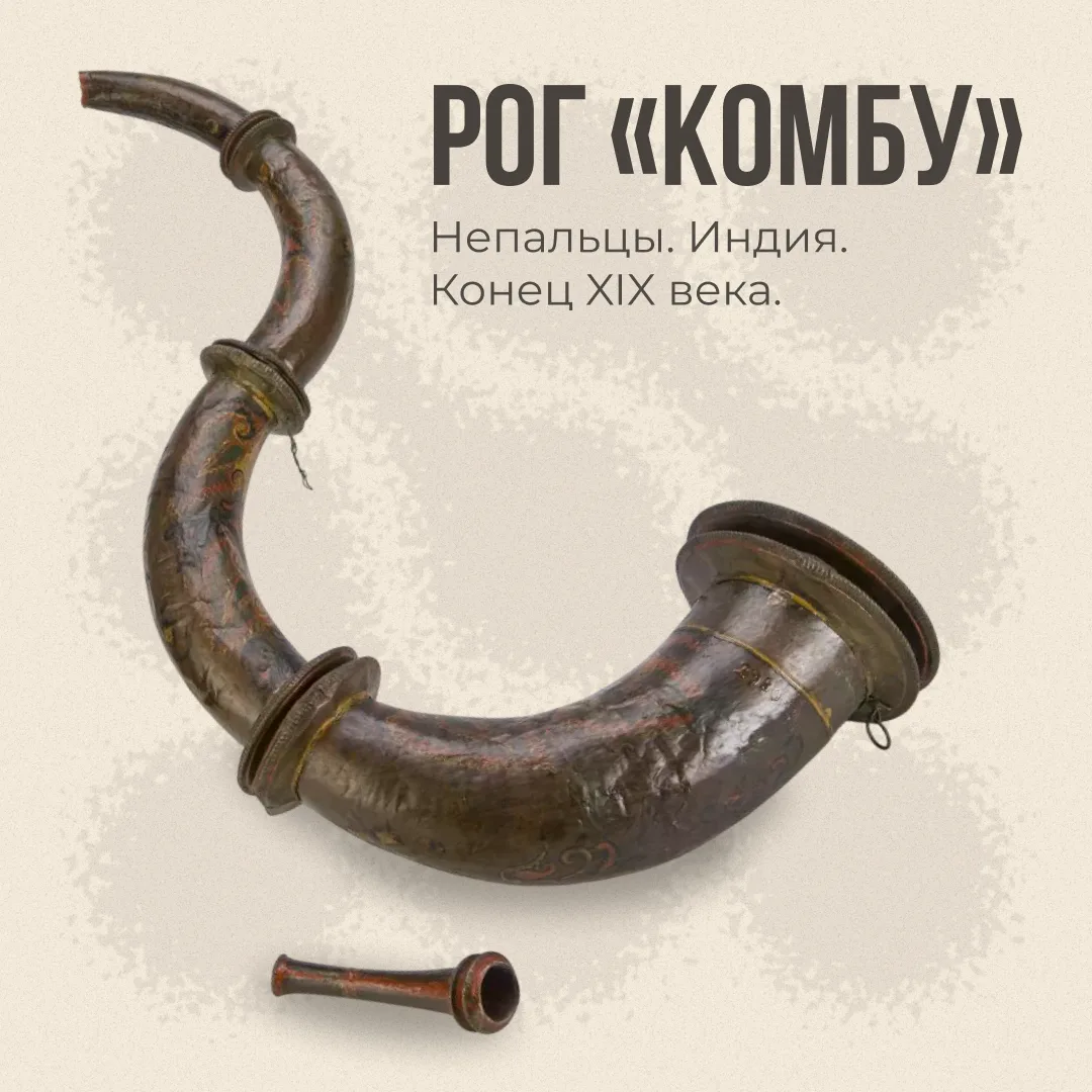 Звуки Кунсткамеры 🎵