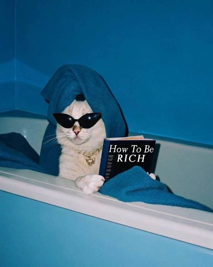 Rich cat пришла к вам помурлыкать и напомнить, что реакции на канале бесплатновые.
