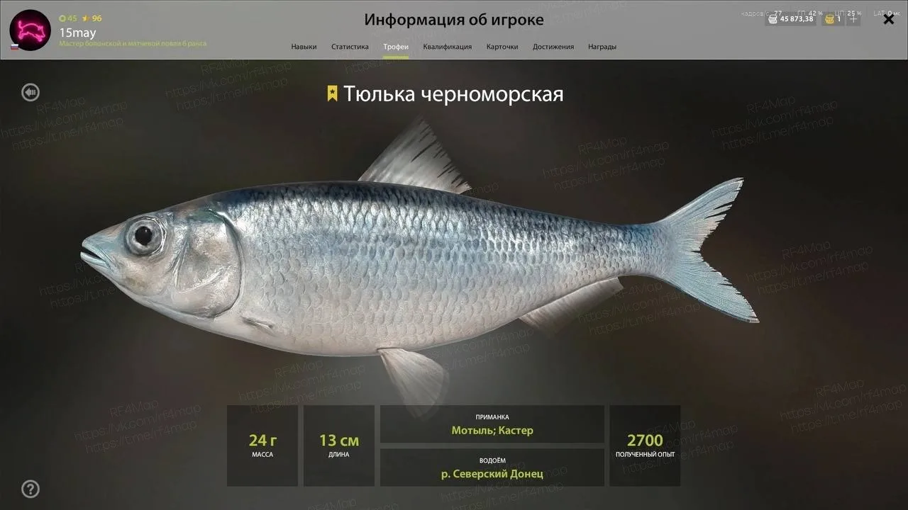 #трофей_rf4map
Водоем: #донец_rf4map
- Рыба: Тюлька черноморская
- Координаты: 15:166
- Квадрат: А2
