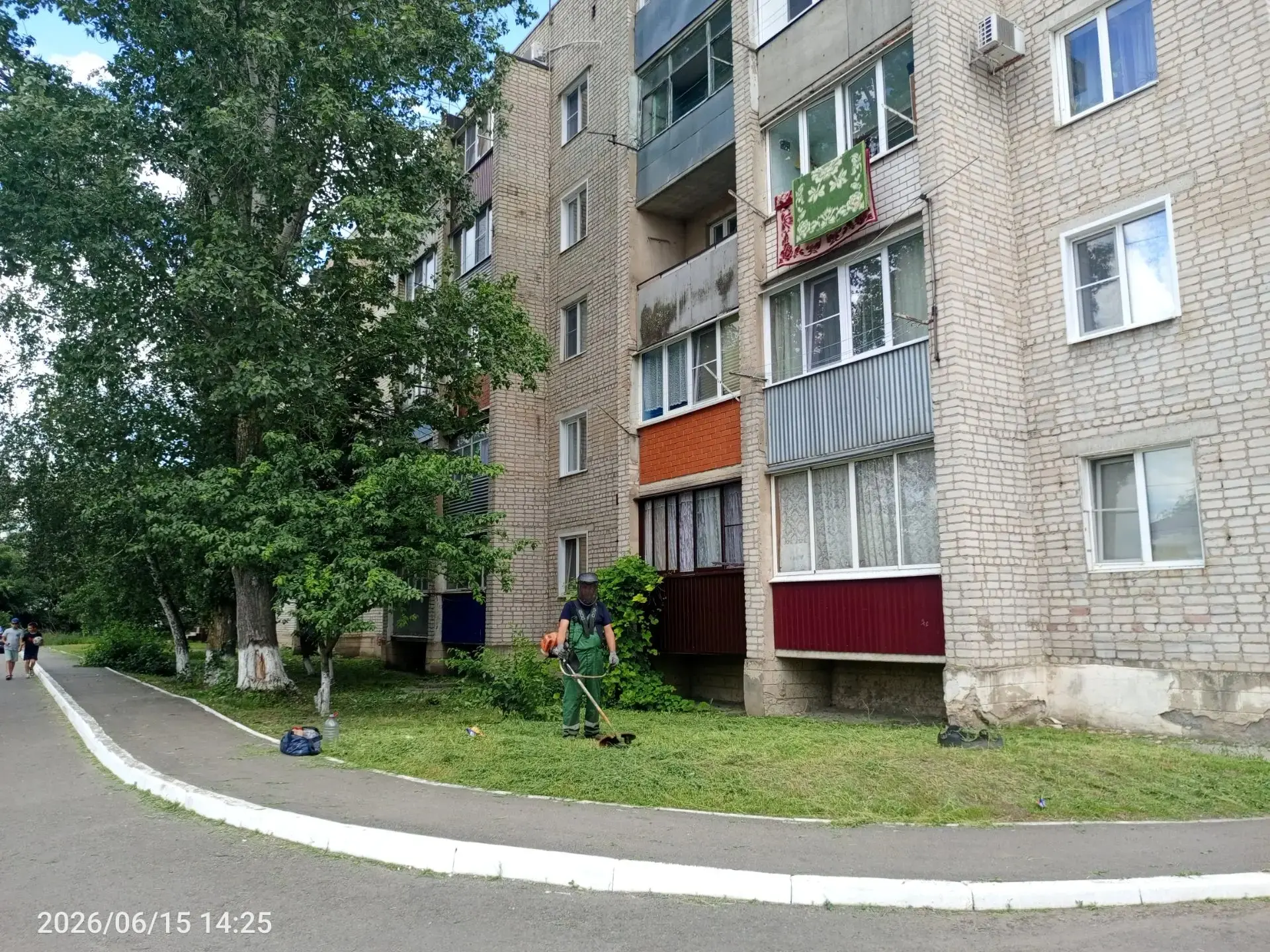 Покос травы ул. Заводская д. 50А