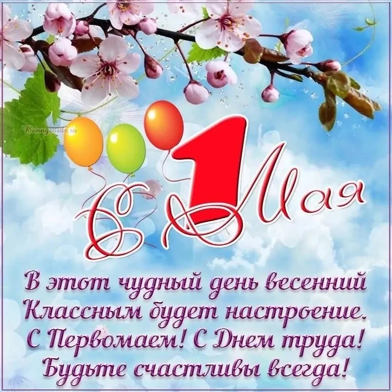 🌿 Майское настроение: когда хочется жить и дышать полной грудью.  С первым днём мая, друзья! Солнце,