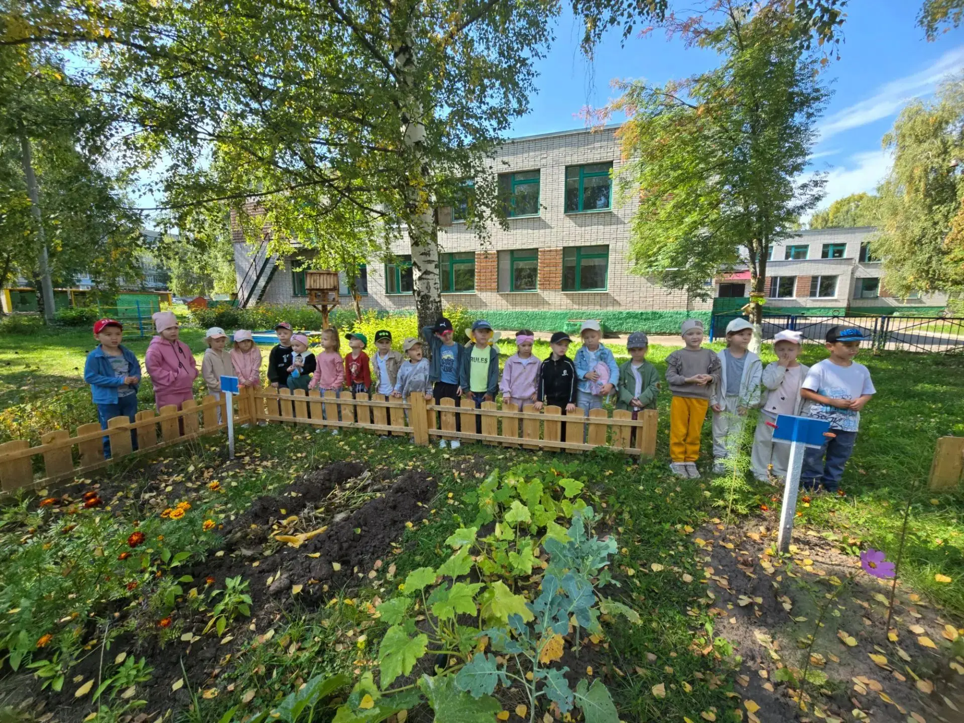 🎉 Маленькие огородники: экскурсия в огород детского сада! 🎉