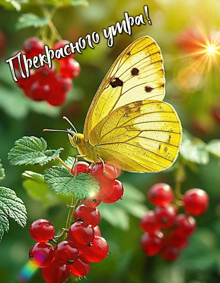 И пусть день будет легким и светлым!. 🙏💗