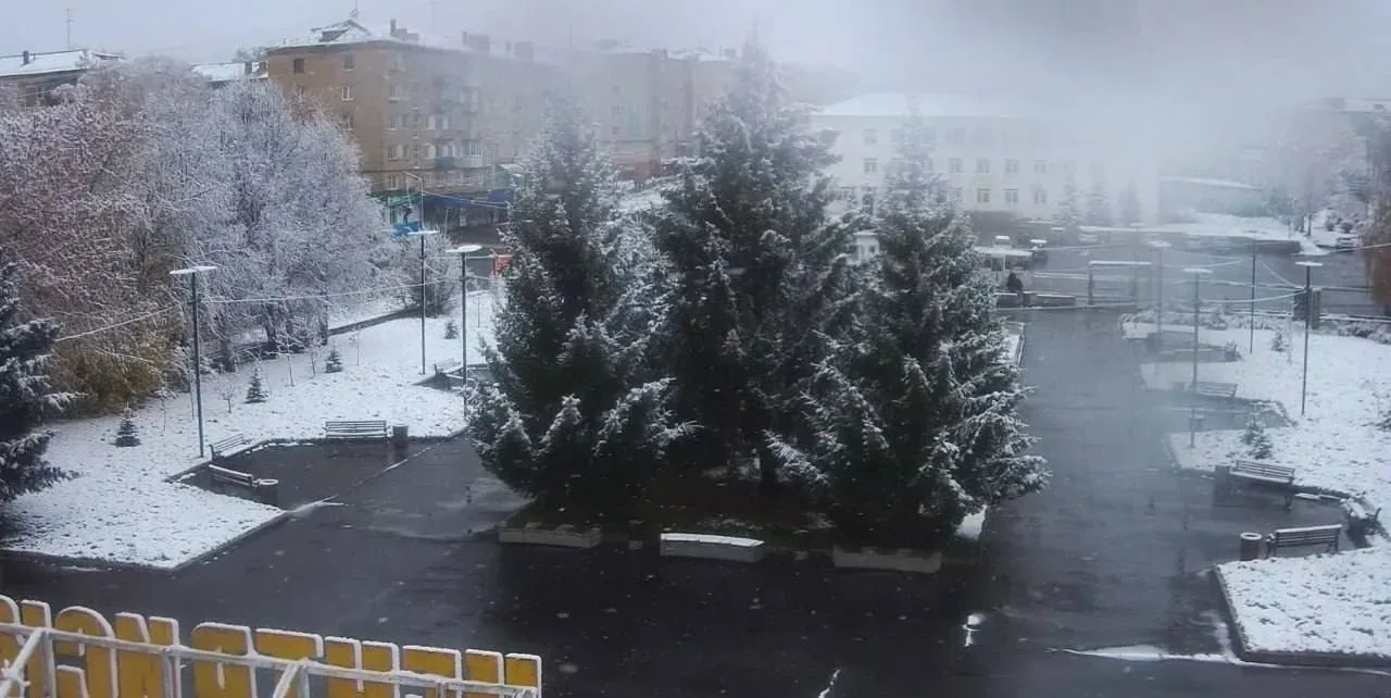 ​❄️ Настоящая зима уже началась в Челябинской области