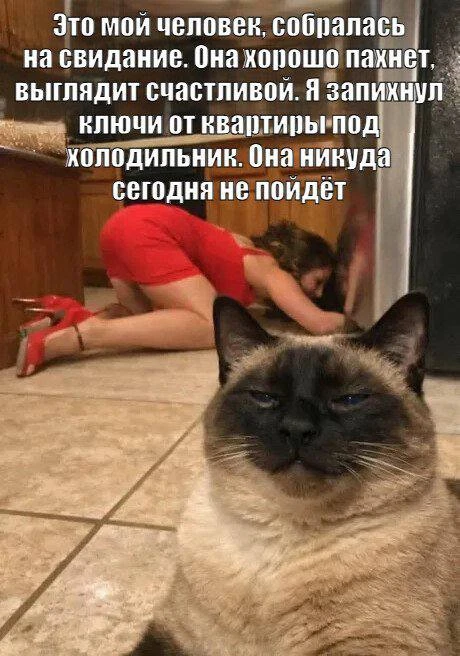 Прикол👉Подпишись
