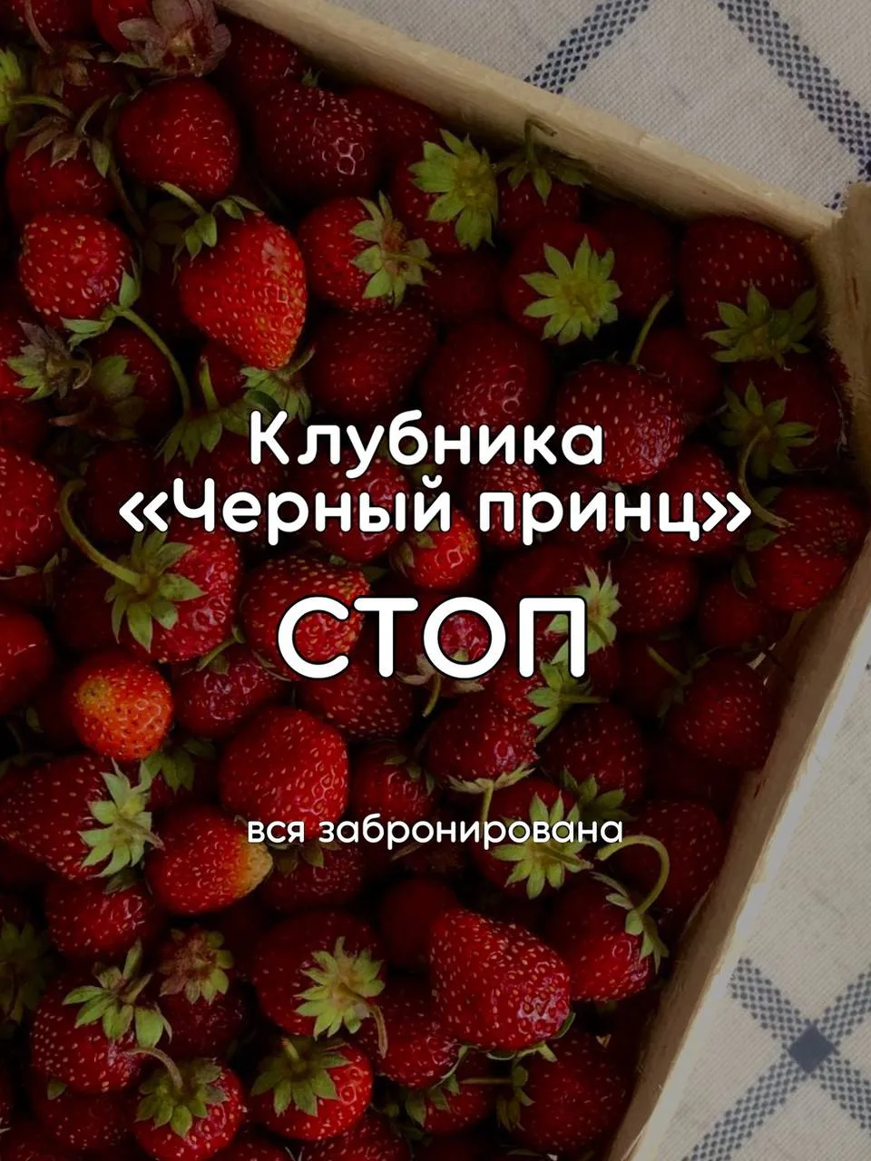 ⛔️ «Клубника «Черный принц» СТОП - вся забронирована

На остальные ягоды принимаем заказы в личное с