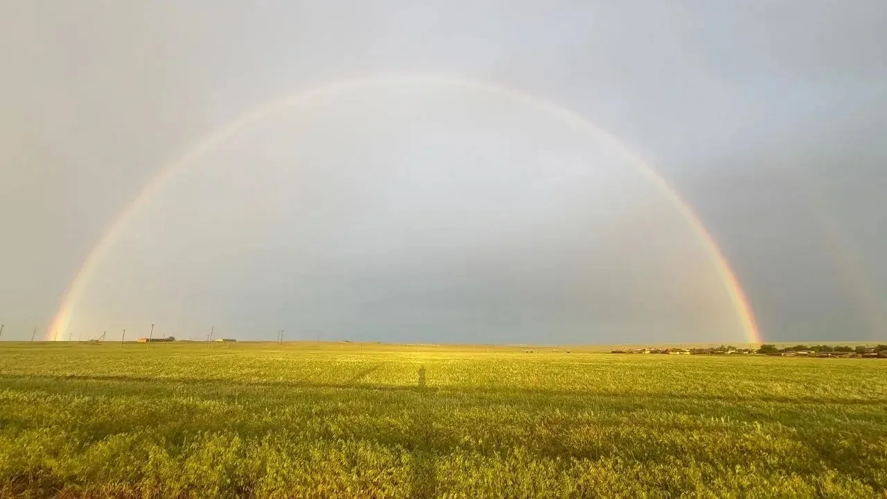 Фото дня