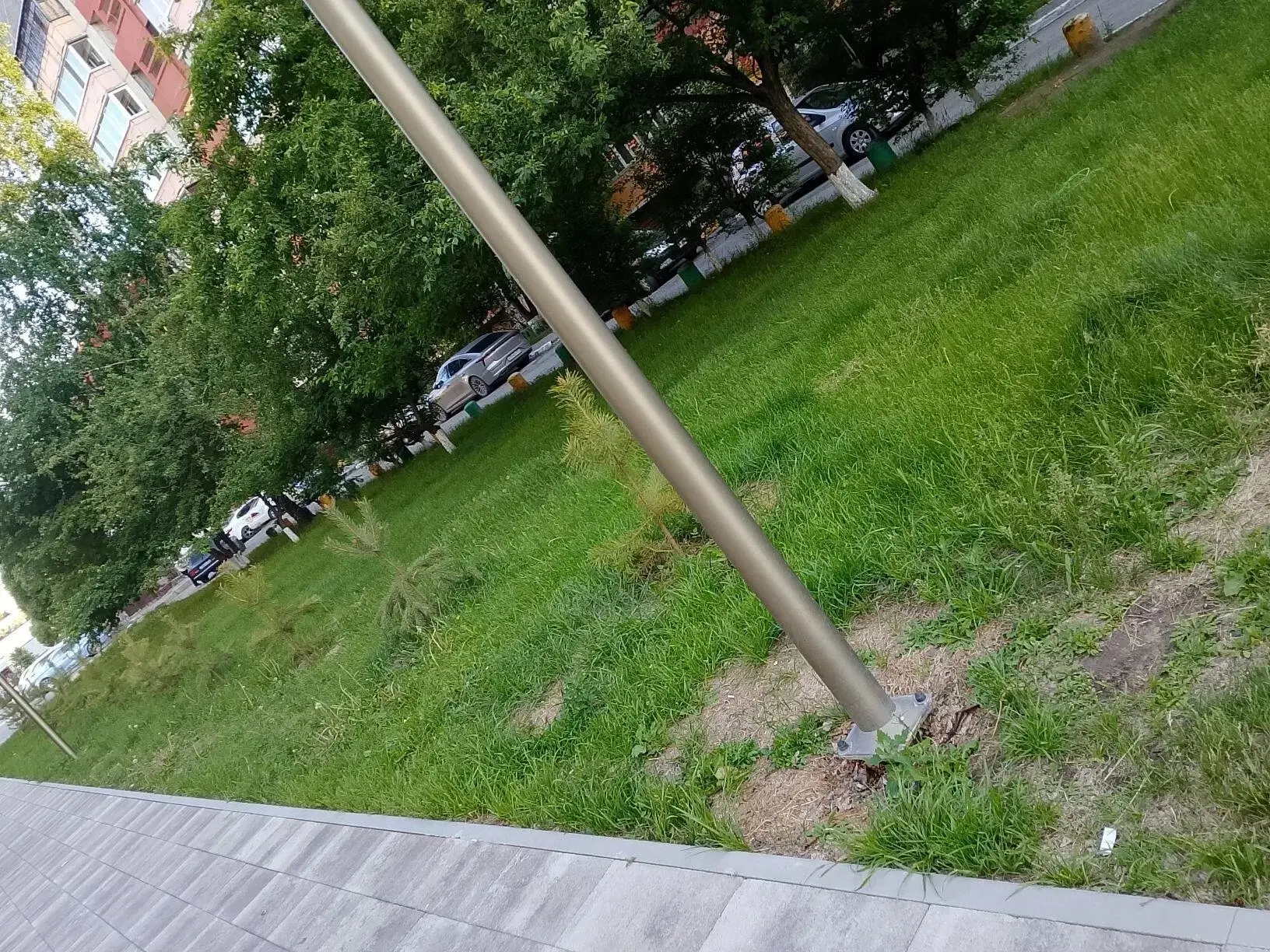 Доброе утро! Вот такие красивые сосенки, сирень, шиповник появились в нашем дворе на Моторостроителе