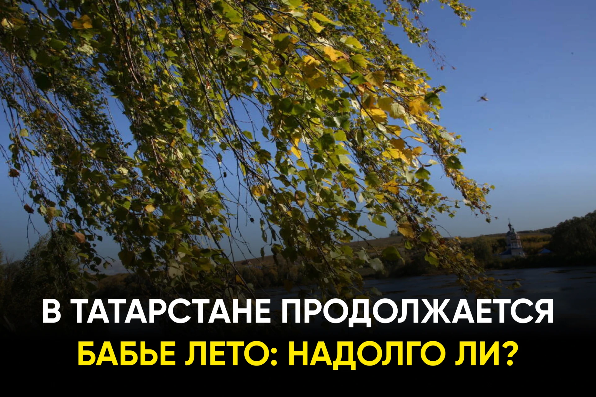 Какая погода будет в конце сентября в Татарстане: https://www.tatar-inform.ru/news/blag...