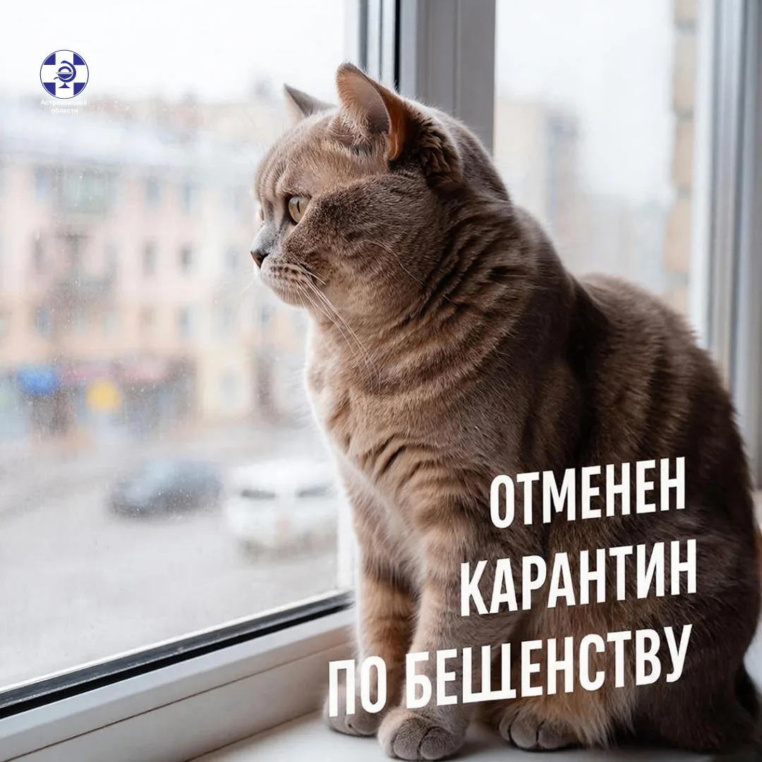 ‼️Постановлением Губернатора Астраханской области от 15.01.2026  №3 "Об отмене ограничи...