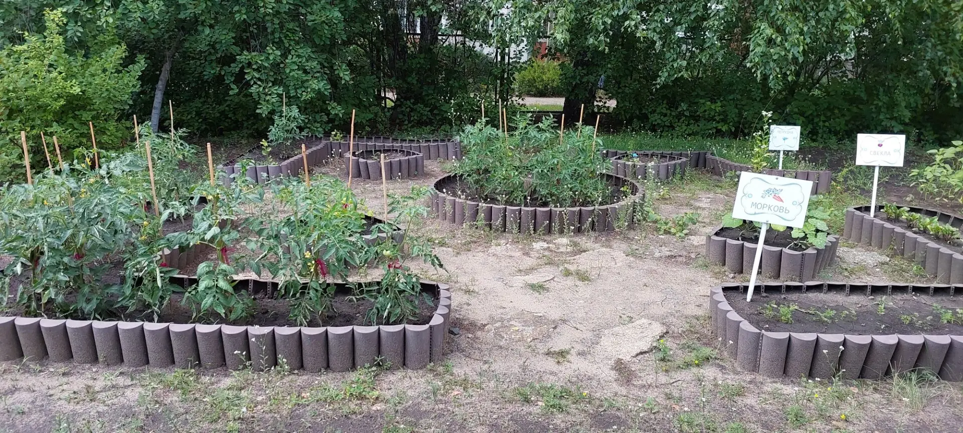 Дорогие друзья и родители! 🌿
Сегодня хотим поделиться с вами изменениями, которые произошли в  огор