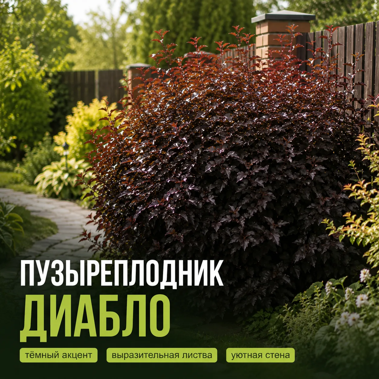🌿 Не ставьте глухой забор, пока не увидите это решение
