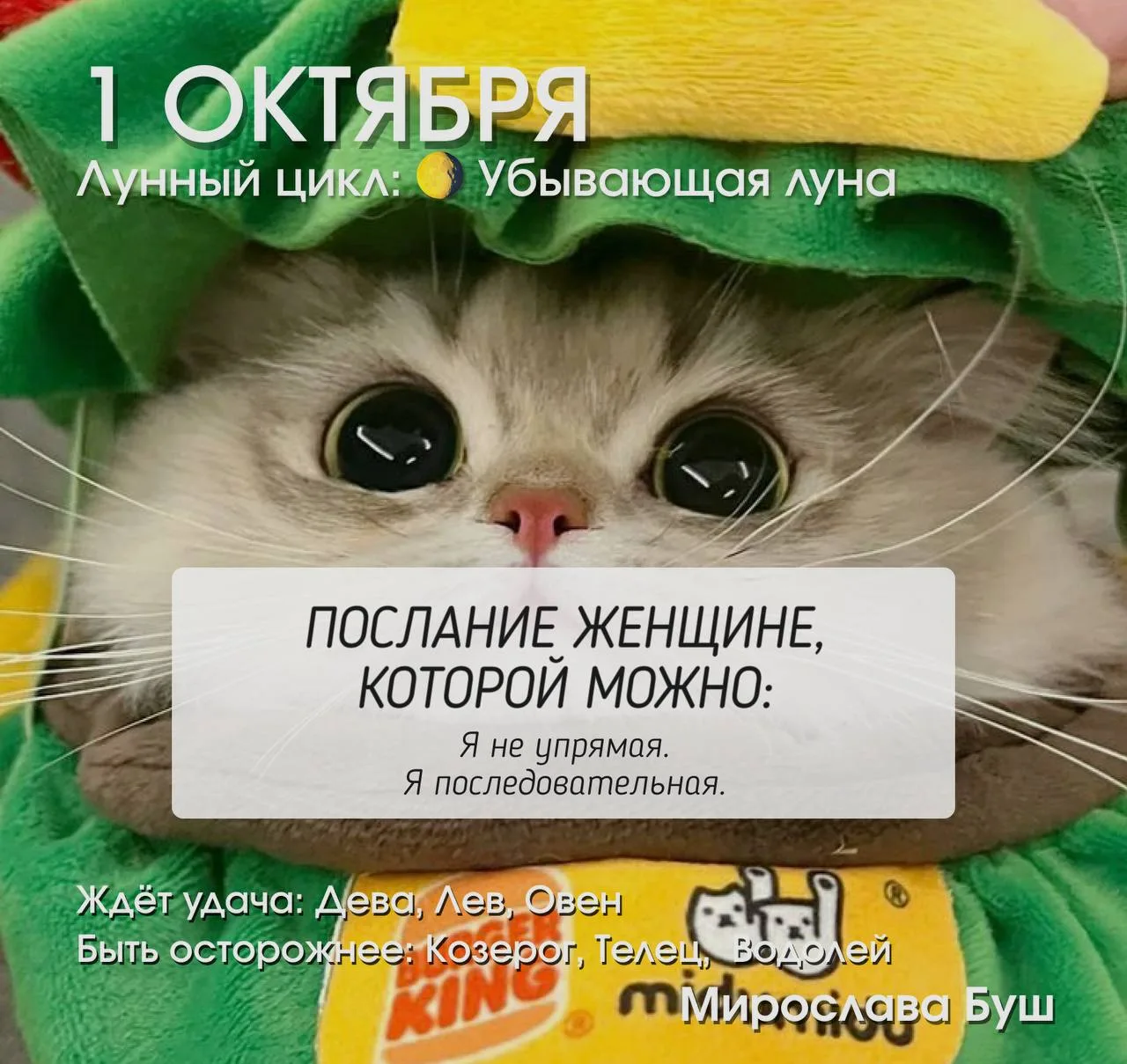 1 октября РЕКОМЕНДАЦИИ 🌖