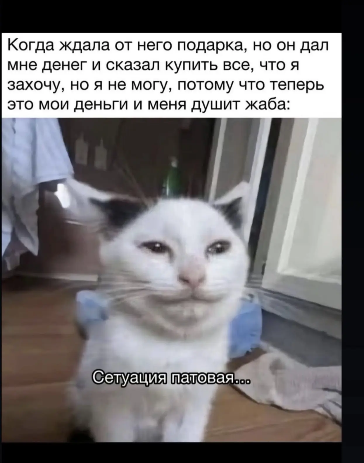 У меня есть одна суперспособность: мне никогда на себя ничего не жалко. И вам советую то же самое.