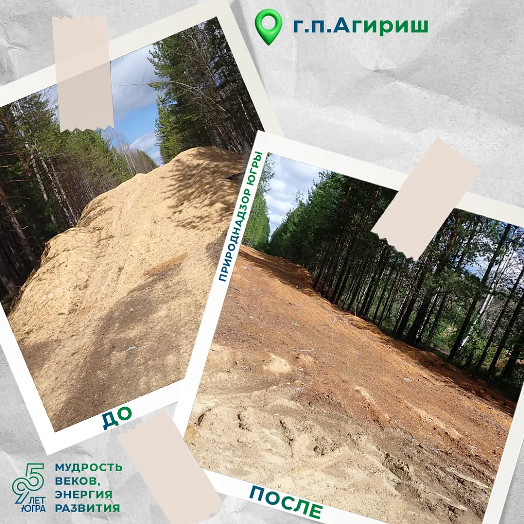 Два лесных участка в районе г.п. Агириш очищены от отходов

Советским отделом Природнадзора Югры про