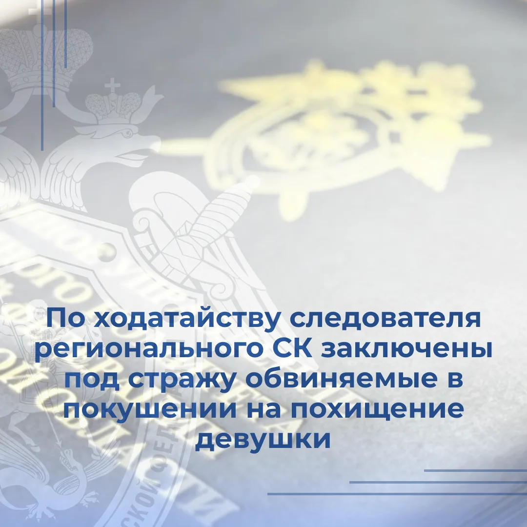 По ходатайству следователя регионального СК заключены под стражу обвиняемые в покушении на похищение