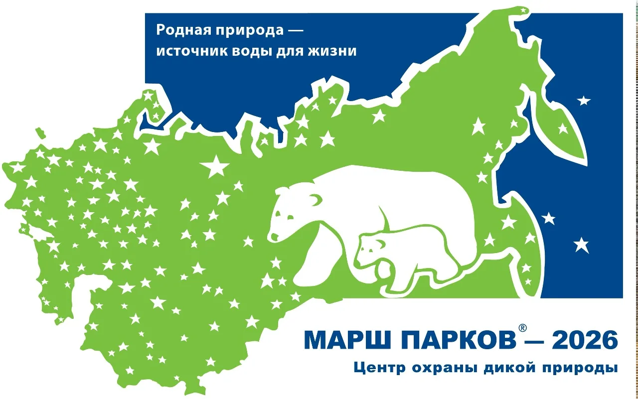 Продолжается приём заявок на конкурсы «Марш парков – 2026»!
