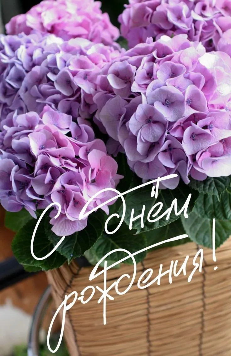 🎉 С ДНЁМ РОЖДЕНИЯ!