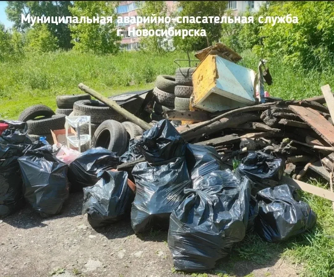 В Новосибирске очистили от крупногабаритного мусора озеро Акатуйское
 
Со дна водоёма подняли автомо