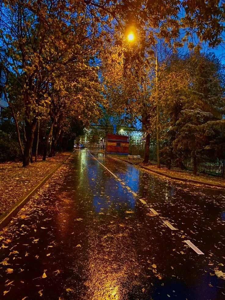 🍂 Сентябрь на Южном Урале будет пасмурным и дождливым