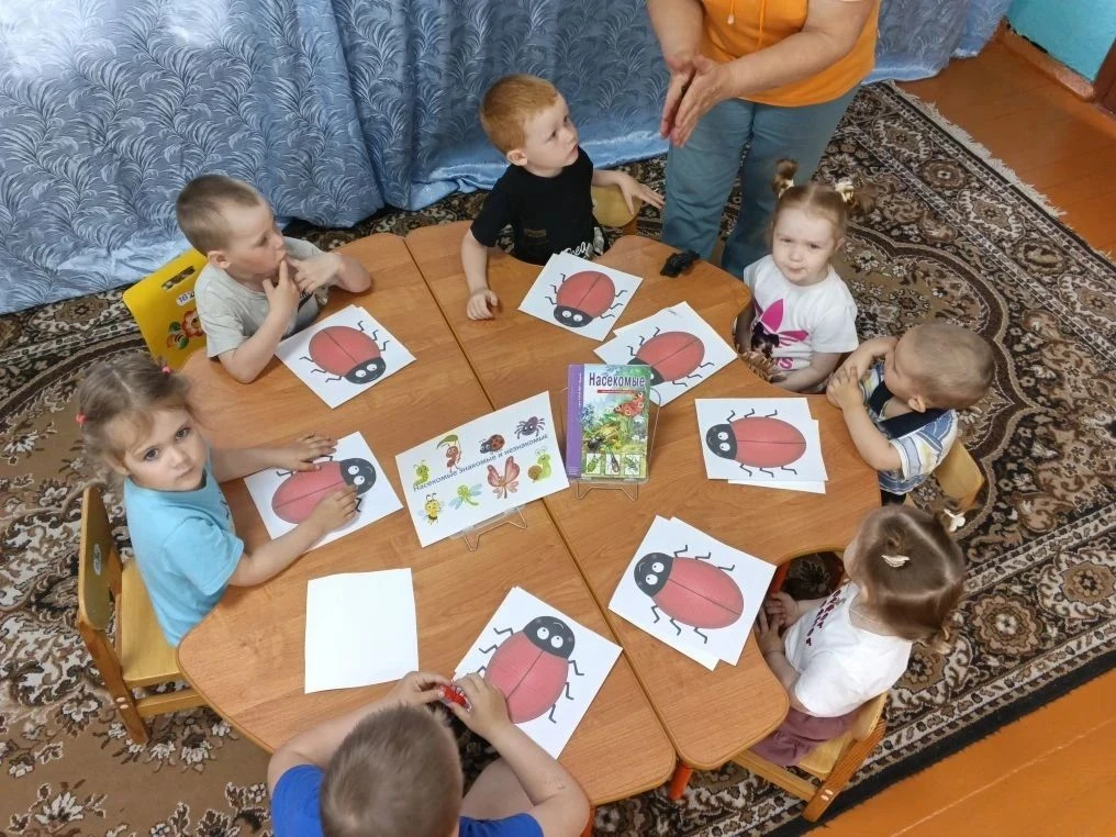 УДИВИТЕЛЬНЫЙ МИР НАСЕКОМЫХ                                                                          