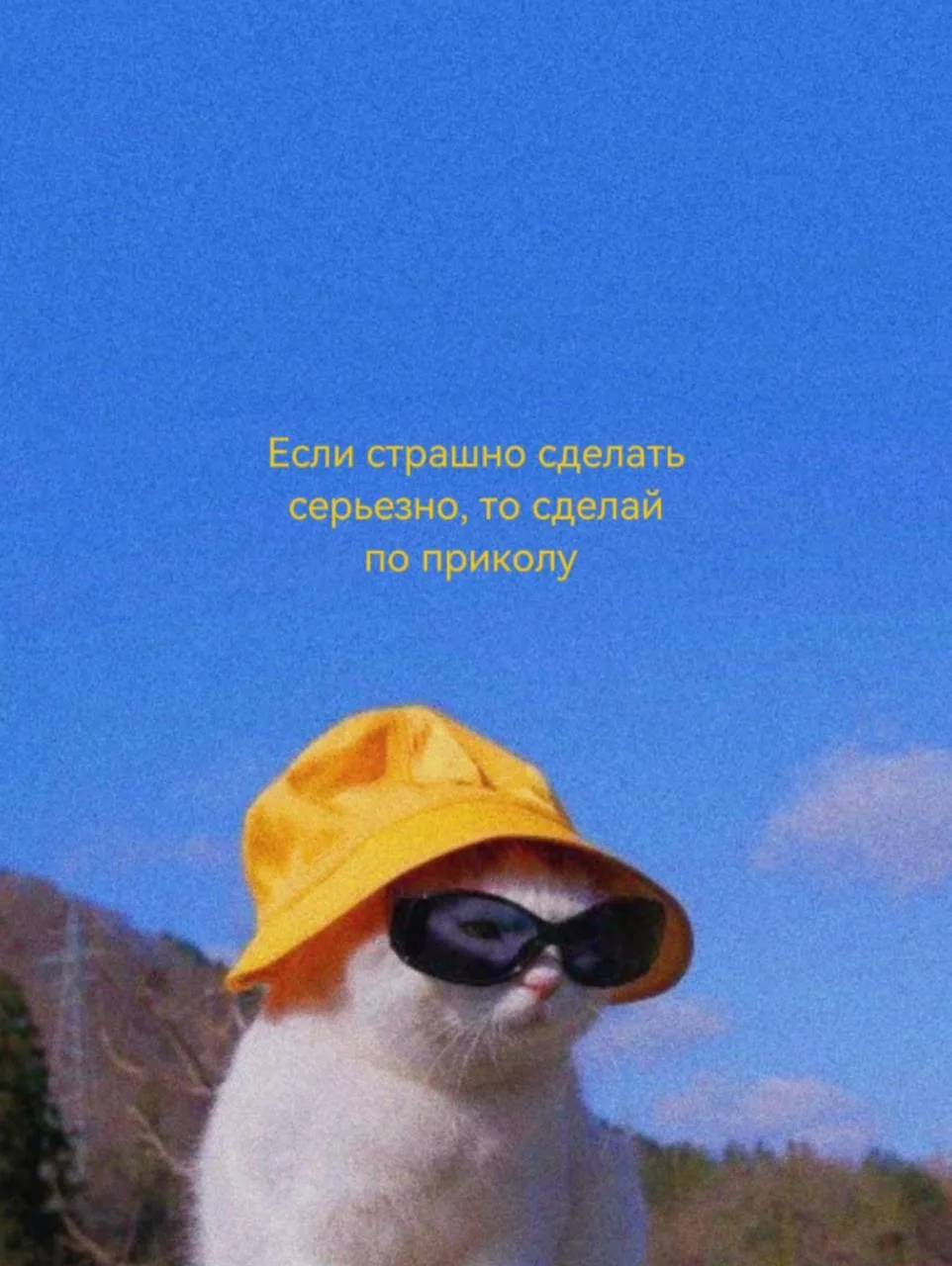 😁Срочные картинки нам для саморефлексии в этот четверг для вас